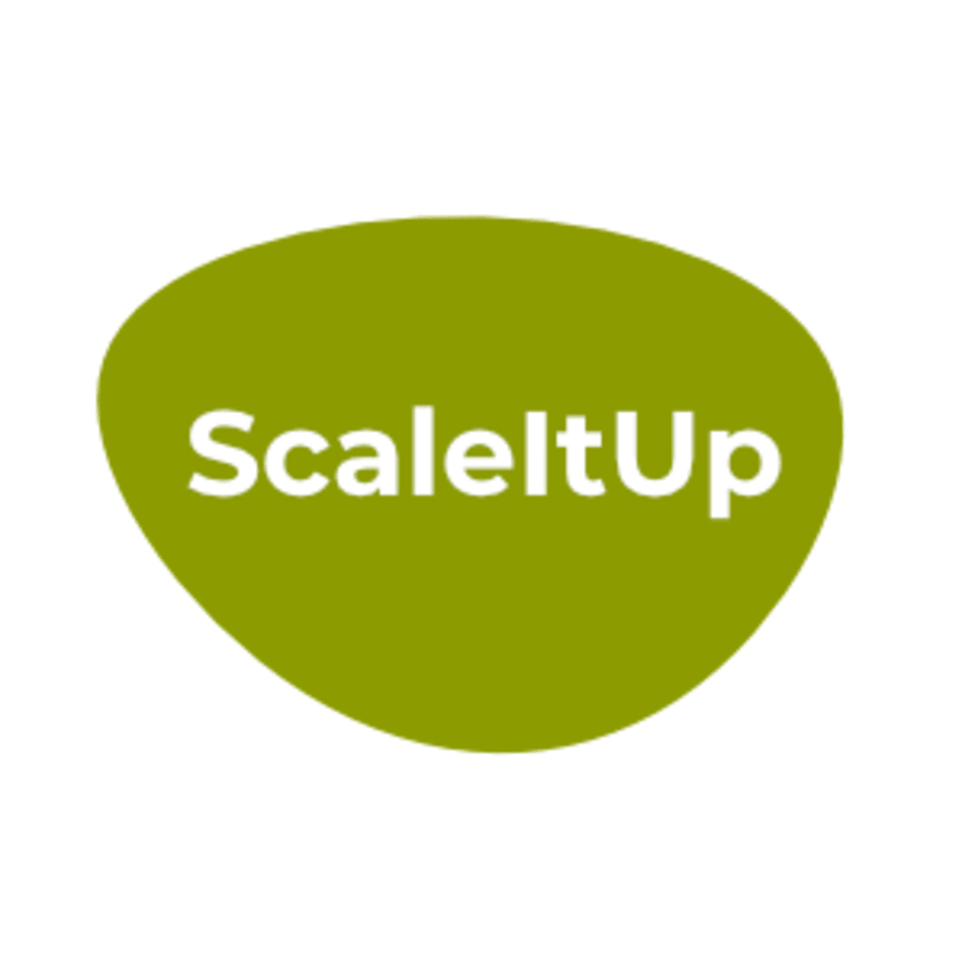 logo ScaleItUp GmbH