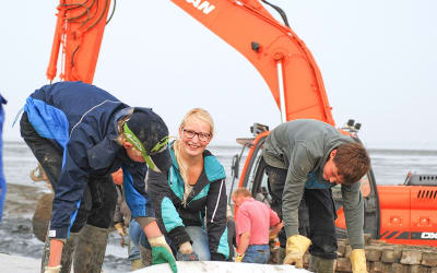 Standort Nds. Landesbetrieb für Wasserwirtschaft, Küsten- und Naturschutz -  Betriebsstelle Meppen Land Niedersachsen