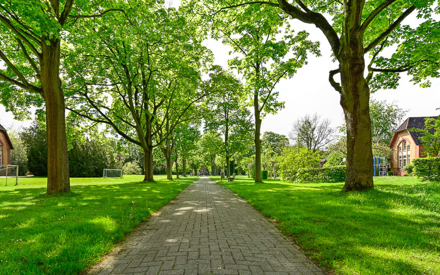 Psychiatrische Klinik Lüneburg: Blick in die Allee