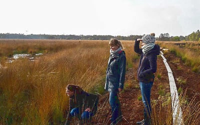 Standort Nds. Landesbetrieb für Wasserwirtschaft, Küsten- und Naturschutz Land Niedersachsen