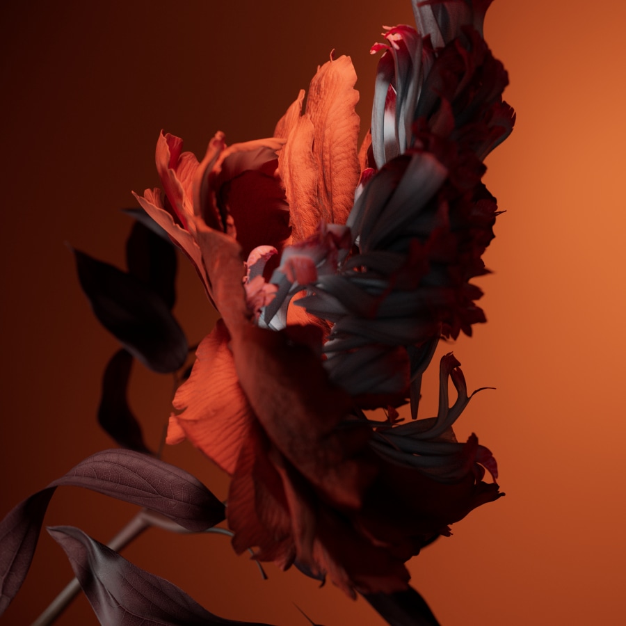 BSPK 3D - Flower Futures (3)