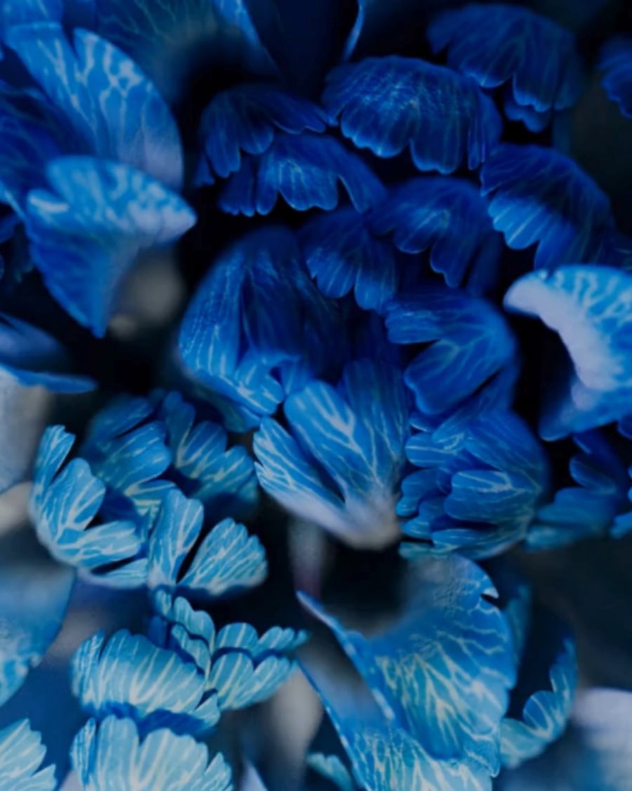 CGI Flower