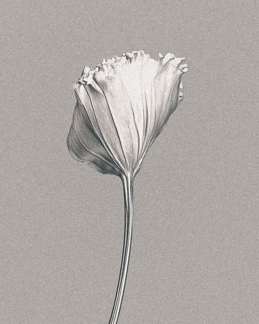 CGI Beauty Material - Smear Image 9