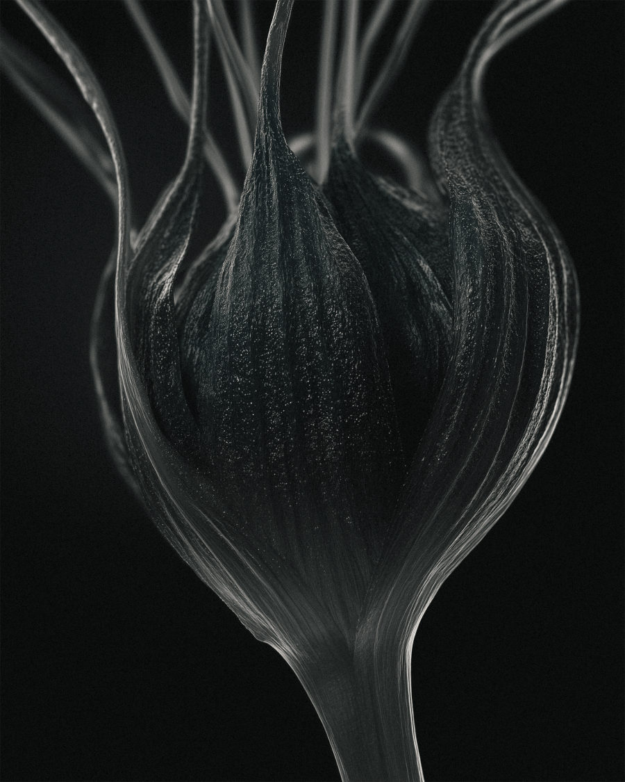 CGI Beauty Material - Smear Image 14