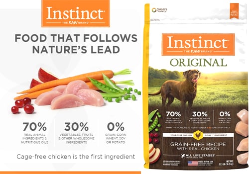 best dog dry foods best dog dry foods