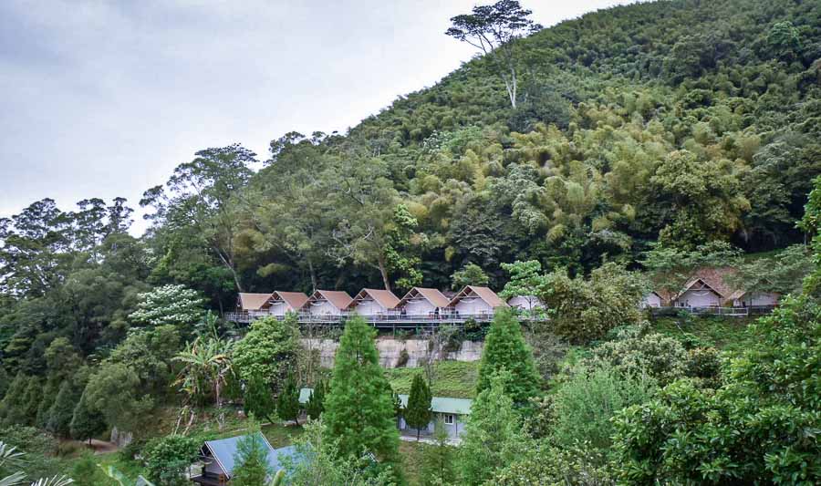 新竹露營推薦-野漾莊園豪華露營獨立衛浴、免裝備、免搭帳、一泊四食 野漾莊園-早晨光景