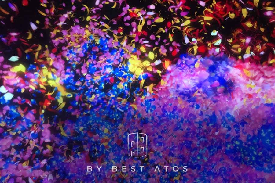 【光與色彩的異想世界】-teamLab未來遊樂園互動展&與花共生的動物們 teamlab-與花共生的動物們II