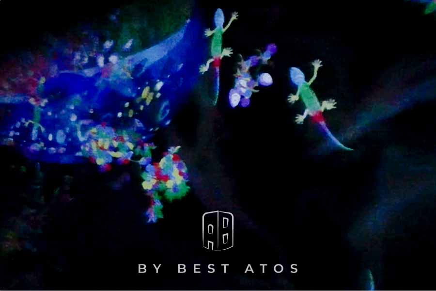 【光與色彩的異想世界】-teamLab未來遊樂園互動展&與花共生的動物們 teamlab-塗鴉自然:迷失、沈浸與重——紅色名錄