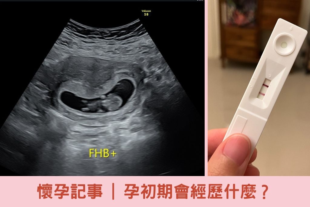 【孕媽咪】1-3個月孕初期會經歷什麼? 孕媽咪懷孕記事——孕初期會經歷什麼?