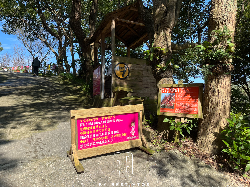 八里觀音山上的親子森林餐廳-桃樂絲柚香農場 最好是 ATOS | 生活本來的樣子