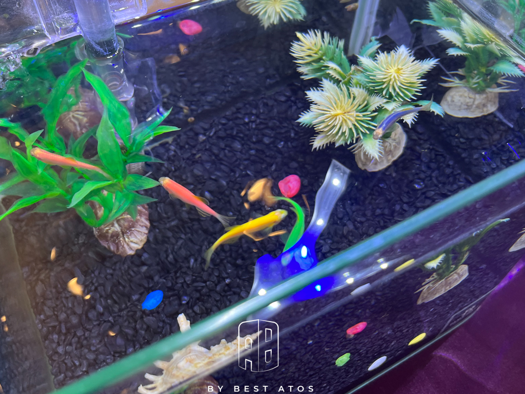 桃園名人堂花園大飯店-史奴比棒球主題親子酒店 最好是 ATOS | 生活本來的樣子