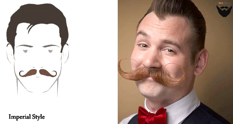 imperial beard styles imperial beard style - imperial moustache - imperial facial hair