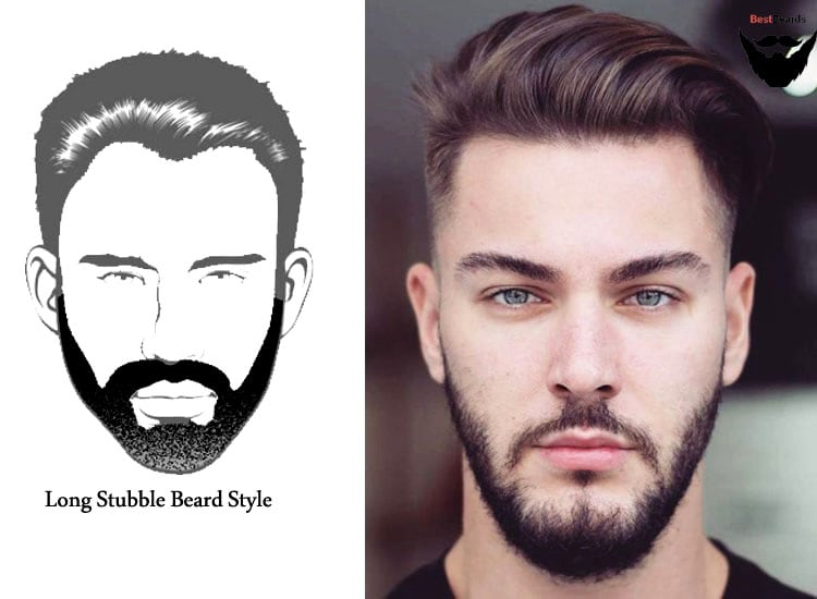 Hair Style Beard Man Beards Styles