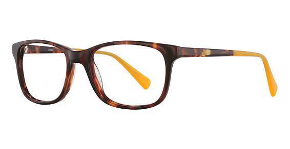 Tortoise (AMBER)