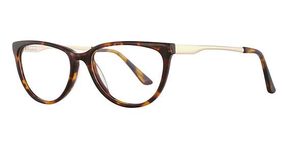 Tortoise (AMBER)