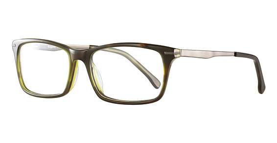 Olive/Tortoise