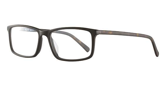 Black/Tortoise