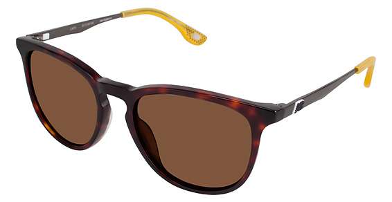 TORTOISE / GOLD FLASH (C01)