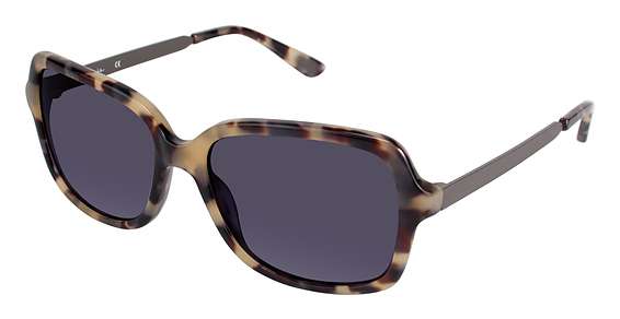 SAND TORTOISE / Gradient Dark Grey (C02)