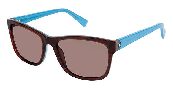 BROWN HORN/BLUE / DARK BROWN (C02)