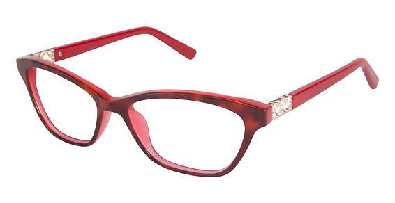 RED TORTOISE (C03)