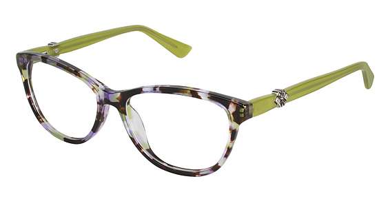 PURPLE TORTOISE (C01)
