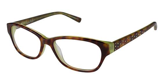 TORTOISE/GREEN (C02)