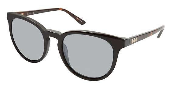 Matte Black / Silver Flash (C01)
