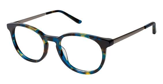 Blue Tortoise (C02)