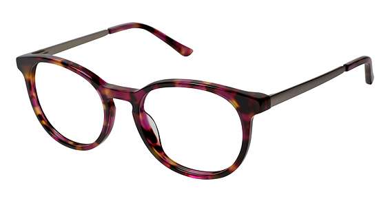 Rose Tortoise (C03)