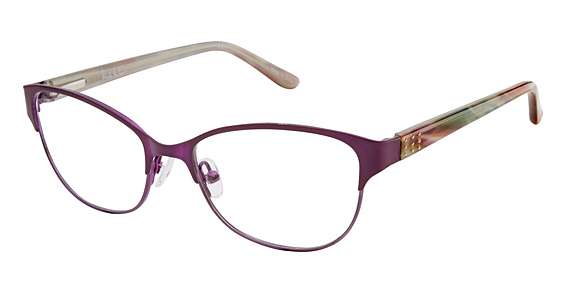 Eggplant (C03)