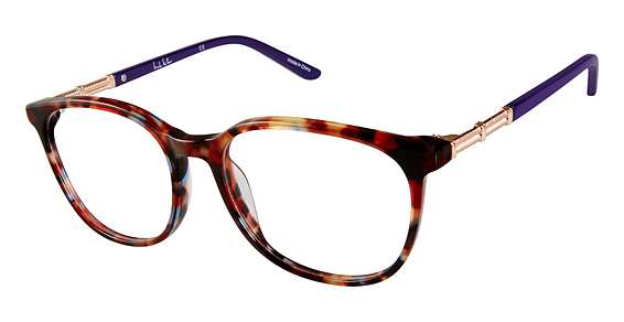 Multi Tortoise (C02)