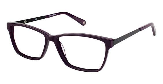 EGGPLANT PURPLE (C03)