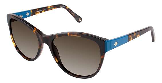 TORTOISE/BLUE / Dark Brown Gradient (C02)