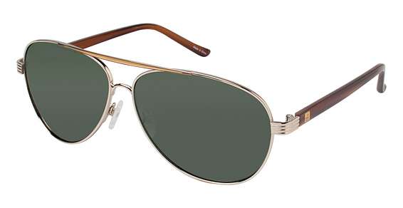 GOLD/TORTOISE / G-15 POLARIZED (C01)