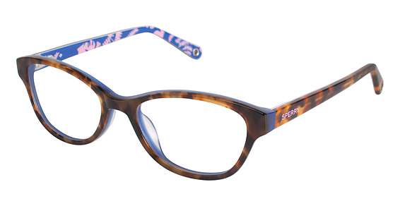 TORTOISE/NAVY (C02)
