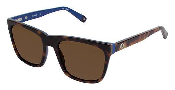 TORTOISE / NAVY / BRONZE FLASH (C02)