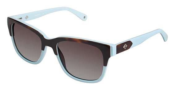 TORTOISE / BLUE / Dark Brown Gradient (C02)