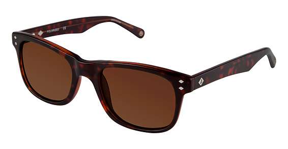 BROWN HORN / SOLID BROWN (C02)