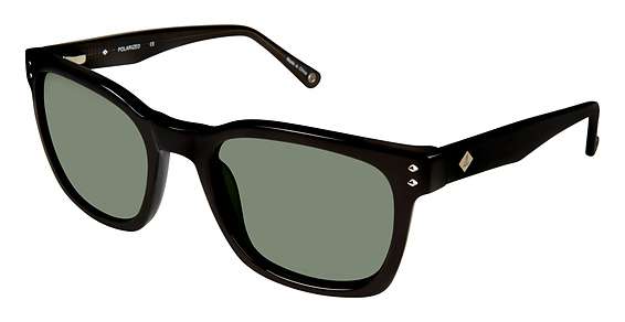Black /Trns Gry / Light Silver Flash (C01)