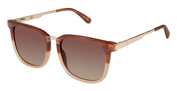 Brown/Rose Gold / Dark Brown Gradient (C03)