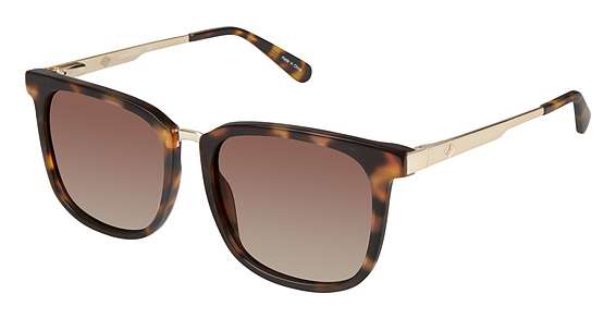 Tortoise / Gold / Dark Brown Gradient (C02)