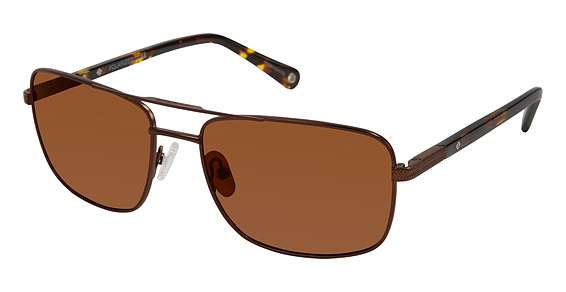 Mt Brown / Tort / Solid Brown (C02)