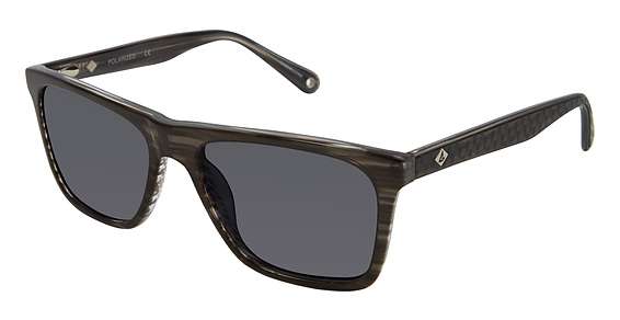 Dark Grey Horn / Solid Dark Grey (C02)