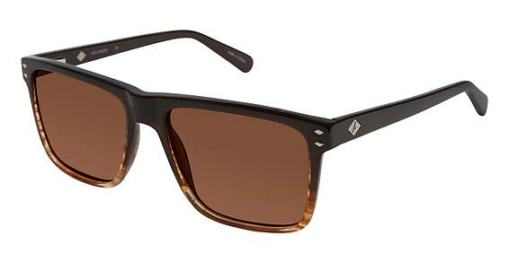 Brown Gradient / Solid Dark Brown (C02)