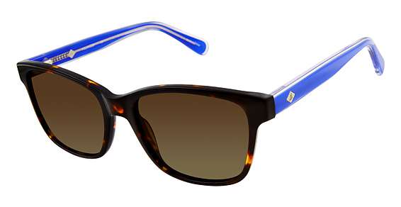 Tortoise Blue / Dark Brown Gradient (C02)