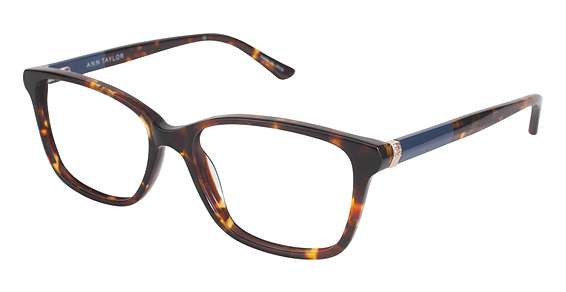 TORTOISE/NAVY (C02)