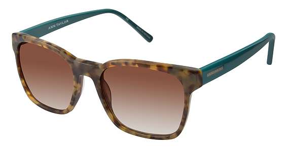 Tortoise / Teal / Dark Brown Gradient (C02)