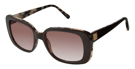 Black / Tortois / Dark Grey Gradient (C01)