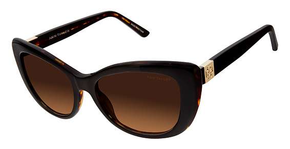 Black / Tort / Dark Brown Gradient (C01)